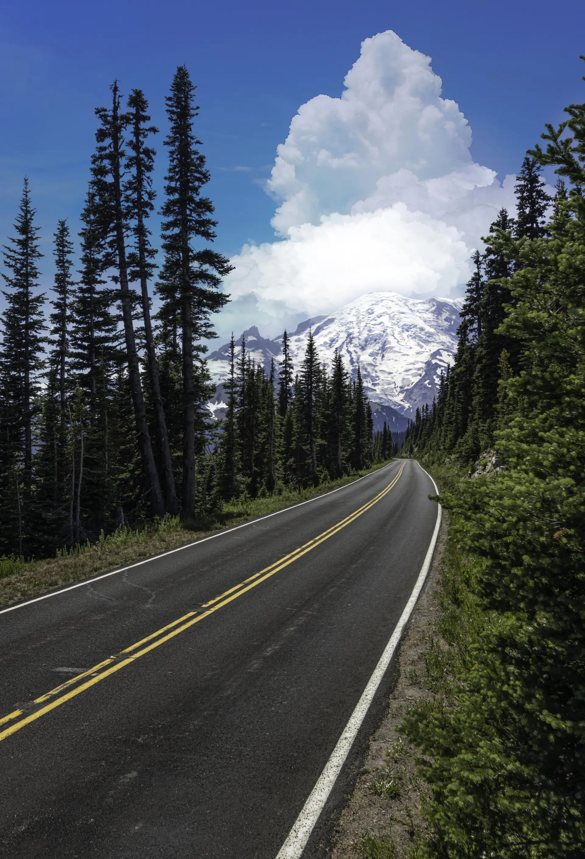 Van Specialists Background Image